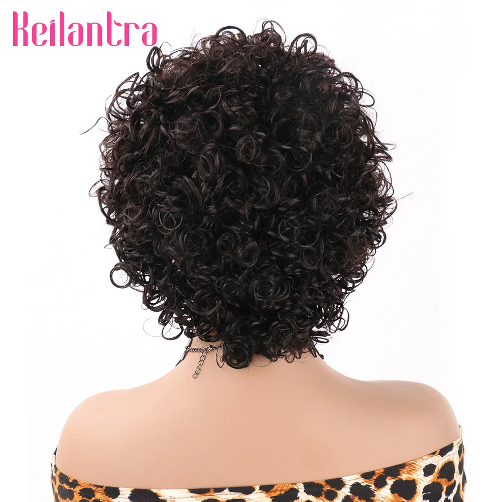 Pixie Cut Curly Human Hair Wig 13x1 Lace Frontal