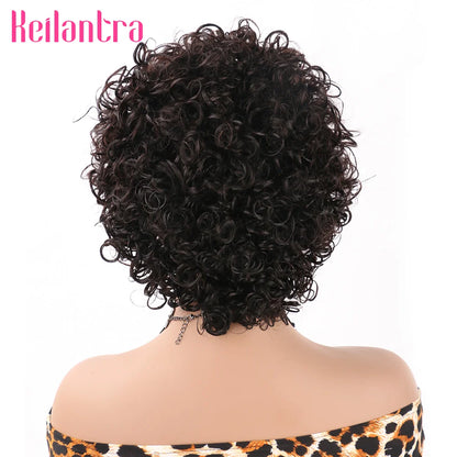 Pixie Cut Curly Human Hair Wig 13x1 Lace Frontal