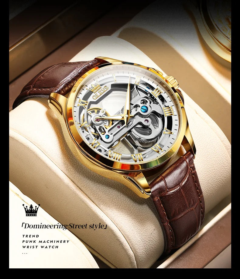 OLEVS Automatic Mechanical Waterproof Men's Watch