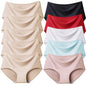 TrowBridge Women's Plus Size Silk Satin Seamless Briefs