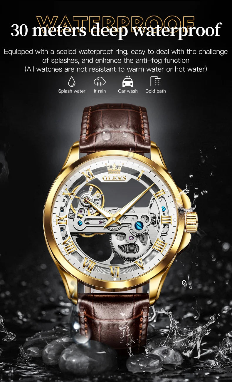 OLEVS Automatic Mechanical Waterproof Men's Watch