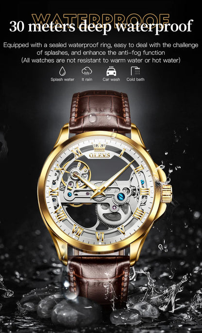 OLEVS Automatic Mechanical Waterproof Men's Watch