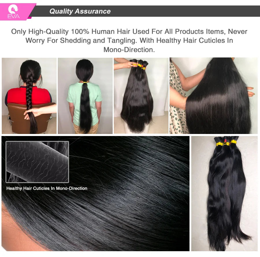 Eva 5x5 HD Lace Closure Straight Human Hair Closure