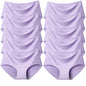 TrowBridge Women's Plus Size Silk Satin Seamless Briefs