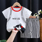 Kids Cotton Cartoon T-Shirt and Shorts Set