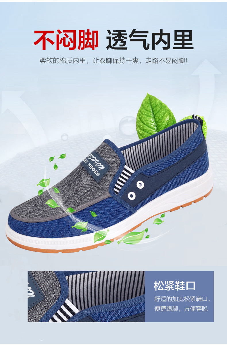 Extra Large Size 47 Men's Canvas Casual Shoes