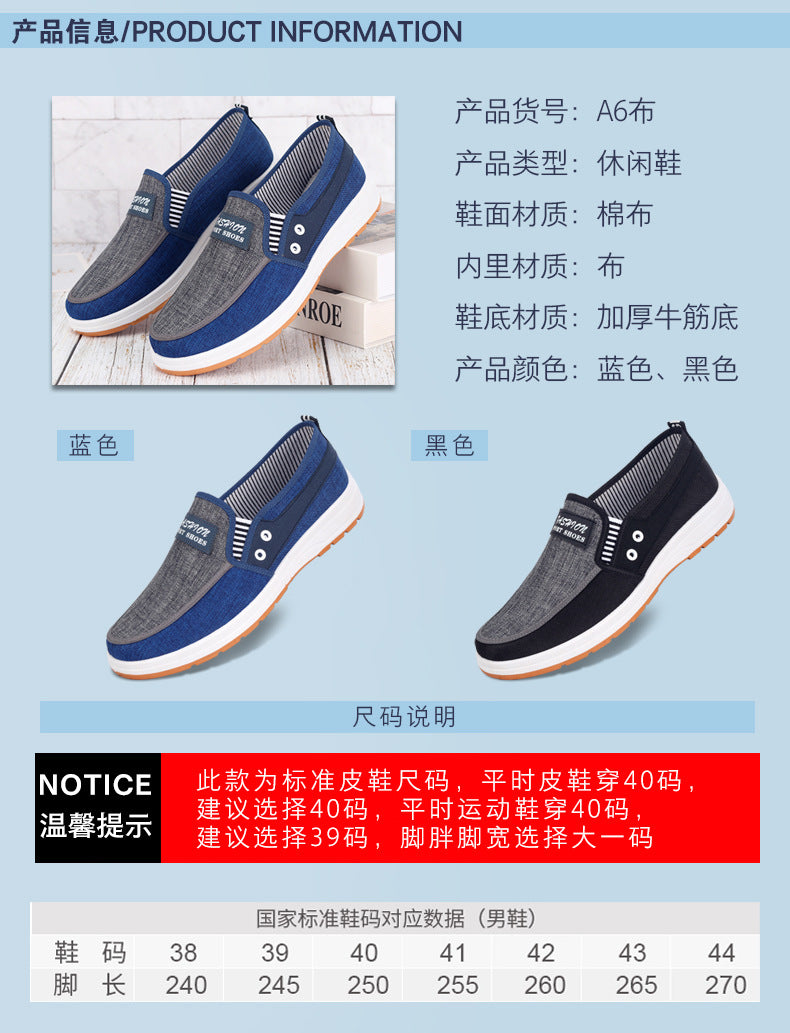 Extra Large Size 47 Men's Canvas Casual Shoes
