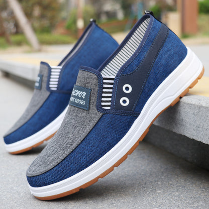Extra Large Size 47 Men's Canvas Casual Shoes