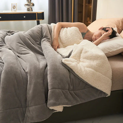 Plush Thick Winter Blanket Double Layer Milk Fleece
