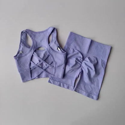 Women's Seamless Yoga Set Sport Bra and High Waist Shorts