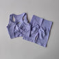 Women's Seamless Yoga Set Sport Bra and High Waist Shorts