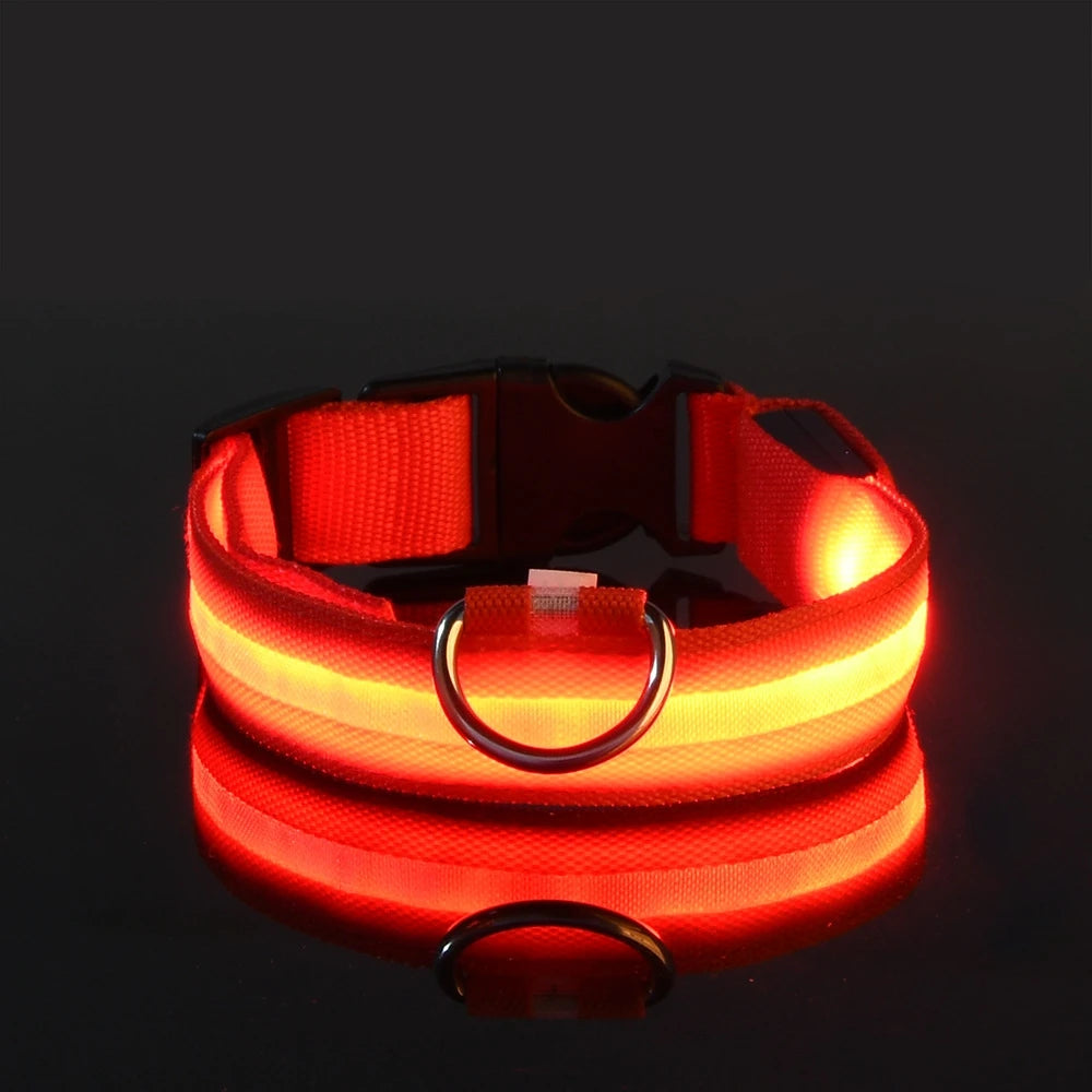 LED Reflective Dog Leash