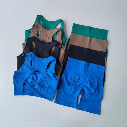Women's Seamless Yoga Set Sport Bra and High Waist Shorts