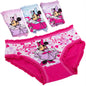 Girls Cartoon Cotton Underwear Briefs Size 2T-10T