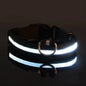 LED Reflective Dog Leash