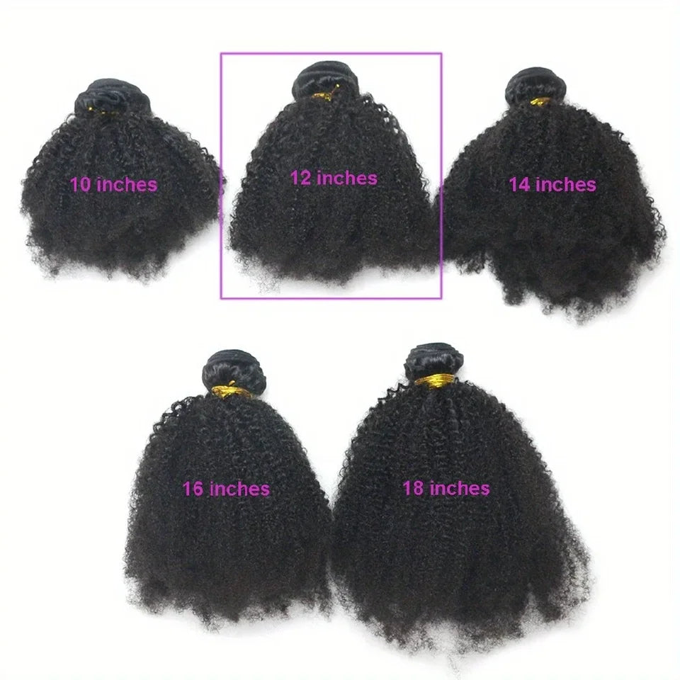 ELISHEVA Indian Human Hair Weave Bundles Kinky Curly Jet Black