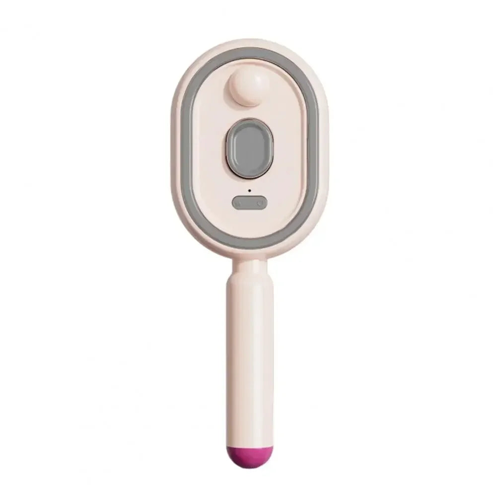Electric Steam Hair Brush with USB-C Charging