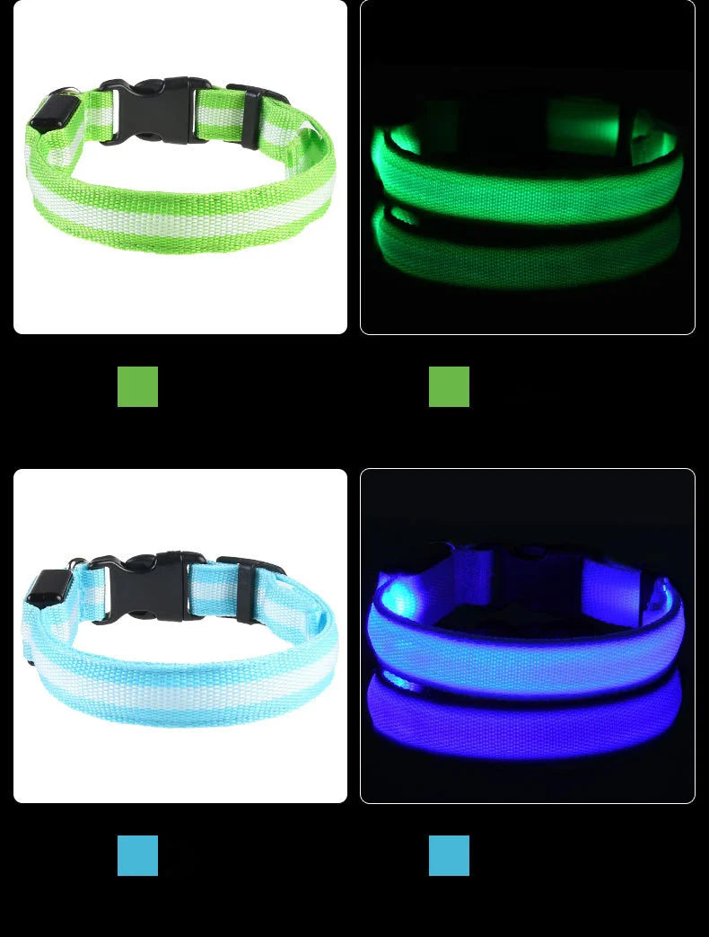 LED Reflective Dog Leash