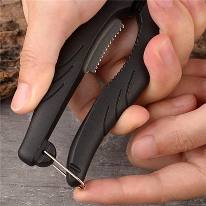Stainless Steel Chestnut Peeler and Scissors Tool