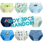 Cotton Dinosaur Cartoon Boys Briefs 3 Pcs Set