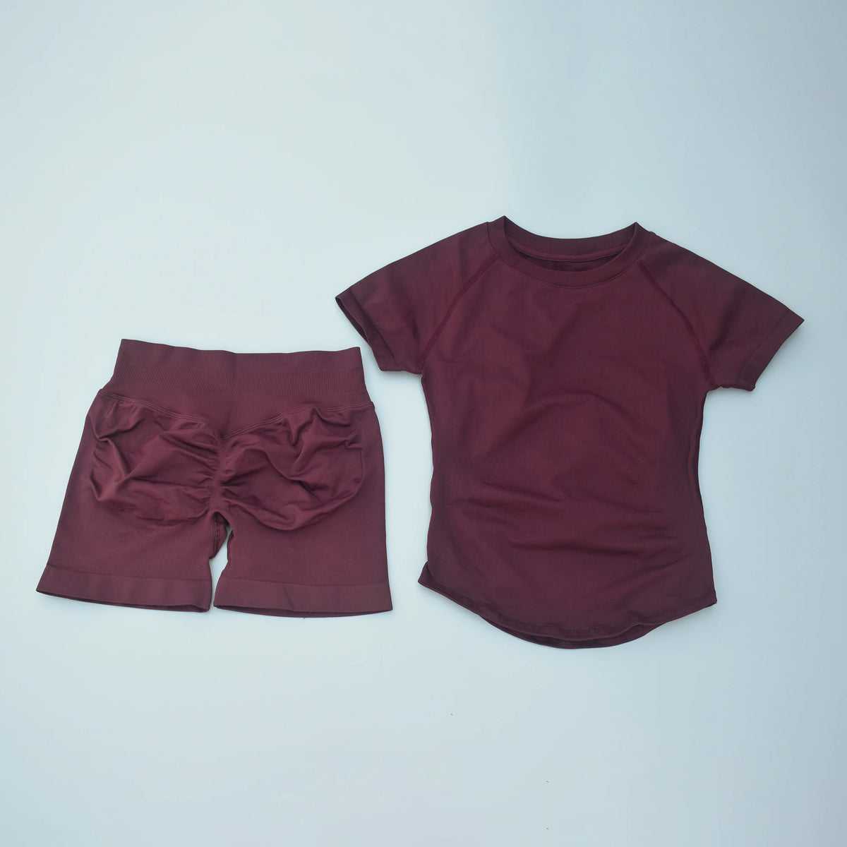 Seamless Yoga Top and Shorts Set for Women