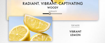 Azzaro Wanted Eau De Toilette Woody Vetiver Cologne