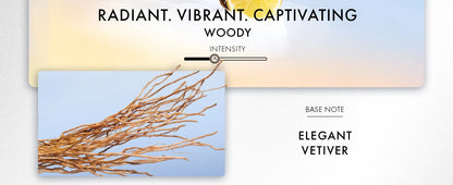 Azzaro Wanted Eau De Toilette Woody Vetiver Cologne