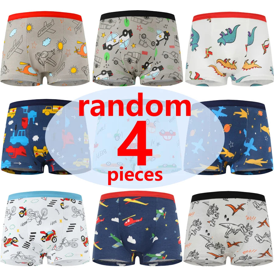 Boys Cotton Boxer Briefs with Dinosaur Print
