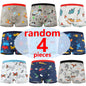 Boys Cotton Boxer Briefs with Dinosaur Print