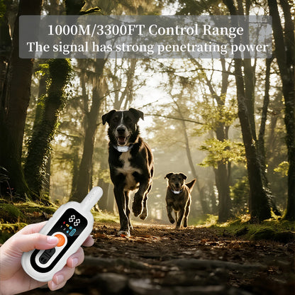 Rechargeable Dog Training Collar with Remote