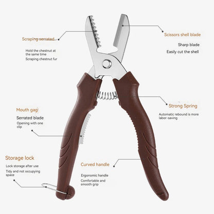 Stainless Steel Chestnut Peeler and Scissors Tool