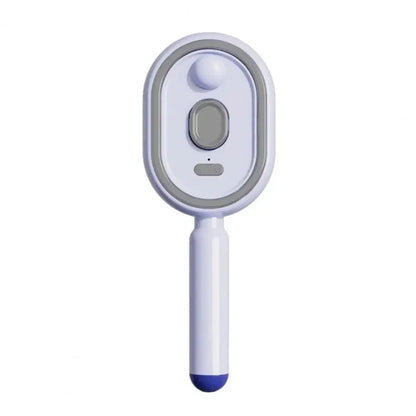 Electric Steam Hair Brush with USB-C Charging