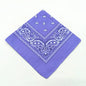 Unisex Polyester Paisley Bandana Hair Wrap