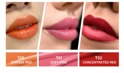 FAMISOO 5ML Permanent Makeup Pigment for Lips and Eyebrows