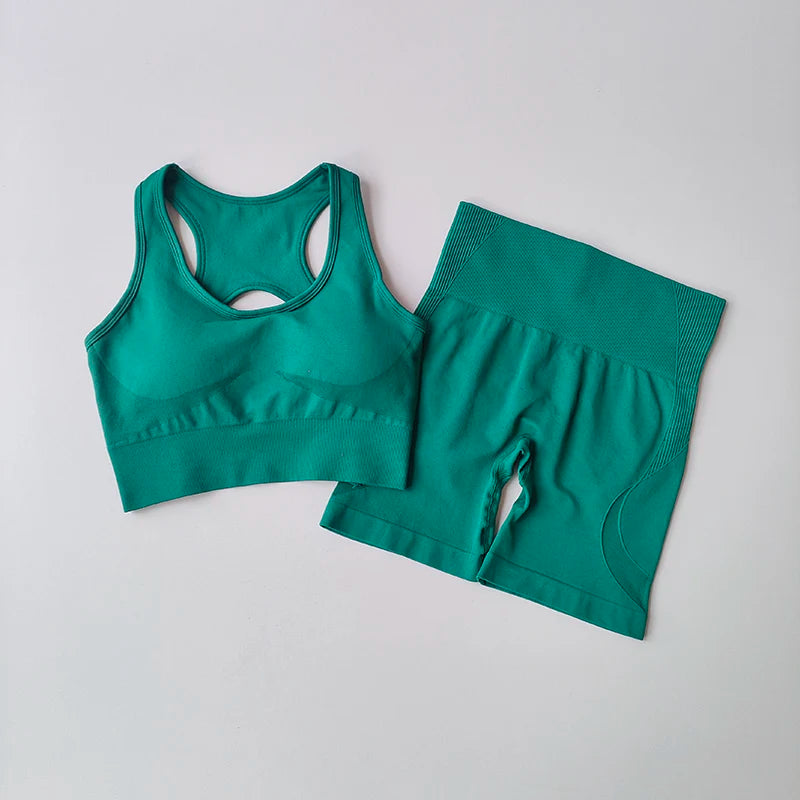 Women's Seamless Yoga Set Sport Bra and High Waist Shorts