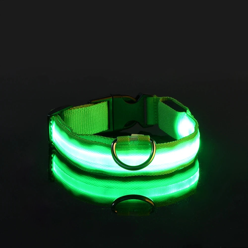 LED Reflective Dog Leash