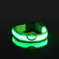 LED Reflective Dog Leash
