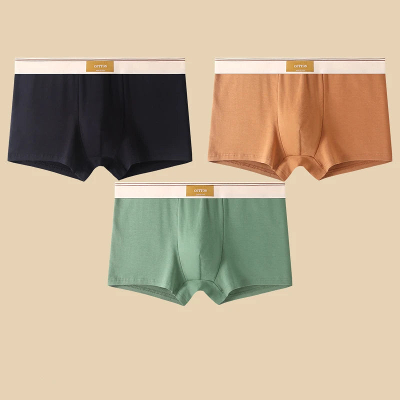 Men's Cotton Boxer Shorts 3Pcs Solid Color Set