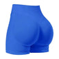 High Waist Seamless Gym Shorts for Women