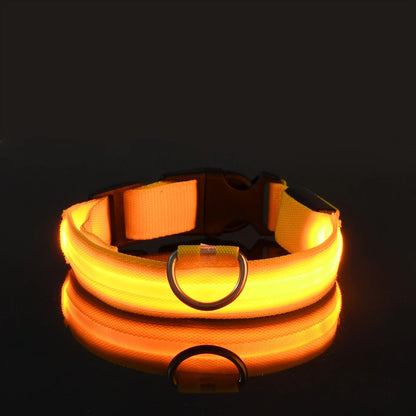 LED Reflective Dog Leash