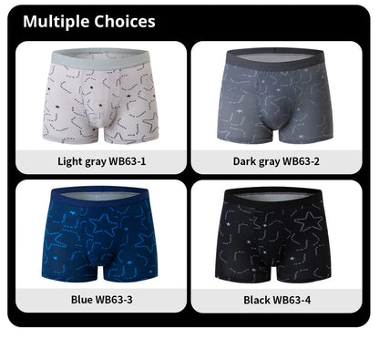 Men's Printed Fashion Boyshorts Plus Size Swim Trunks
