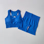 Women's Seamless Yoga Set Sport Bra and High Waist Shorts