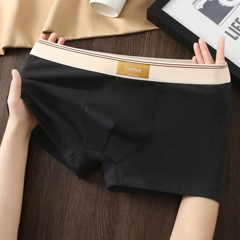 Men's Cotton Boxer Shorts 3Pcs Solid Color Set