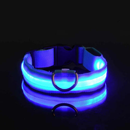 LED Reflective Dog Leash