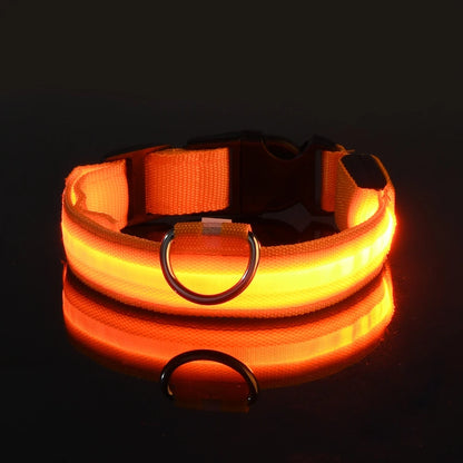 LED Reflective Dog Leash
