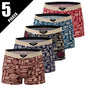 Men's Printed Fashion Boyshorts Plus Size Swim Trunks