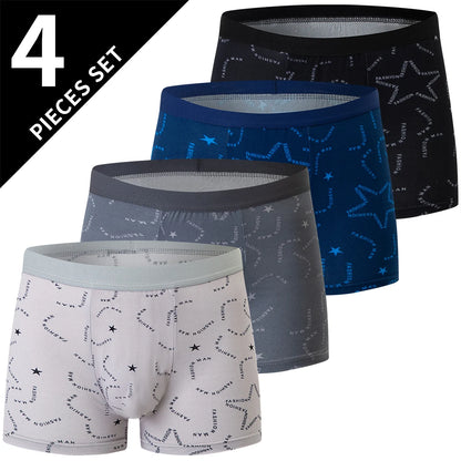 Men's Printed Fashion Boyshorts Plus Size Swim Trunks