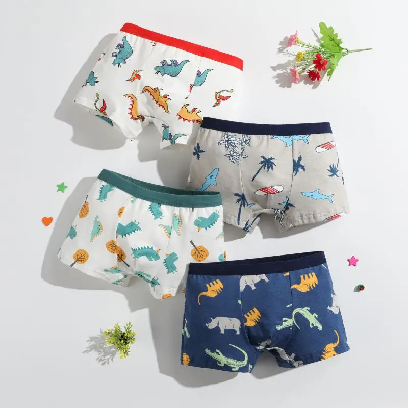 Boys Cotton Boxer Briefs with Dinosaur Print