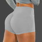 High Waist Seamless Fitness Shorts for Women