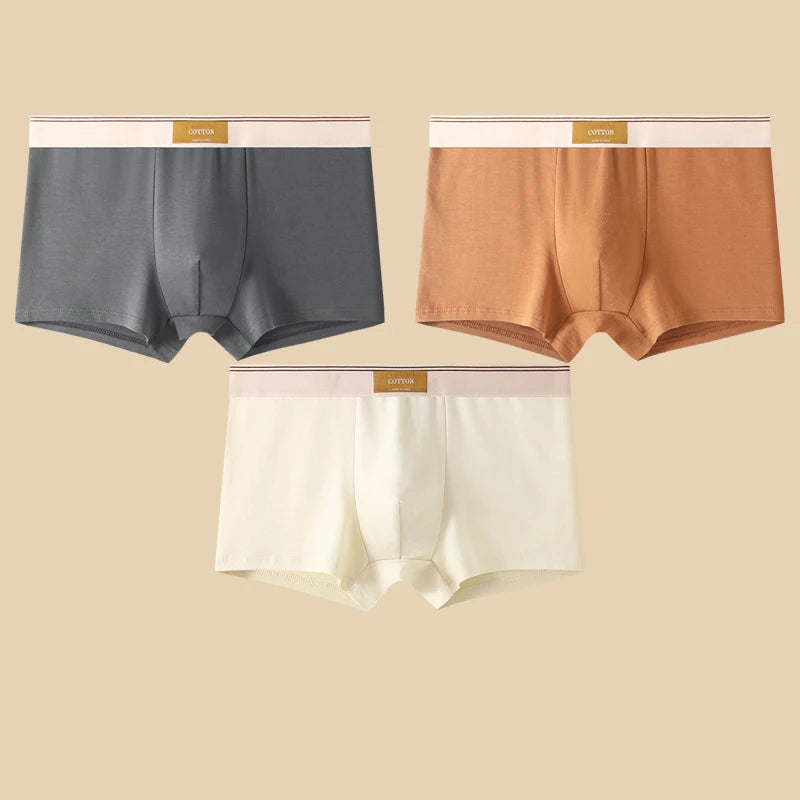 Men's Cotton Boxer Shorts 3Pcs Solid Color Set